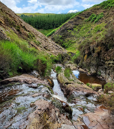 Ledges and pools