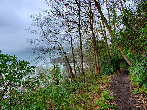 Path from Lynmouth through the coastal woodland