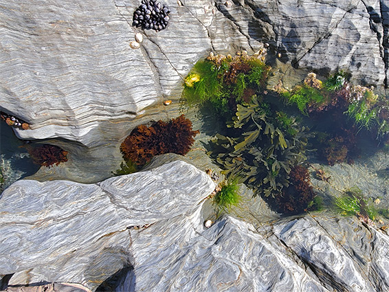 Rock pool