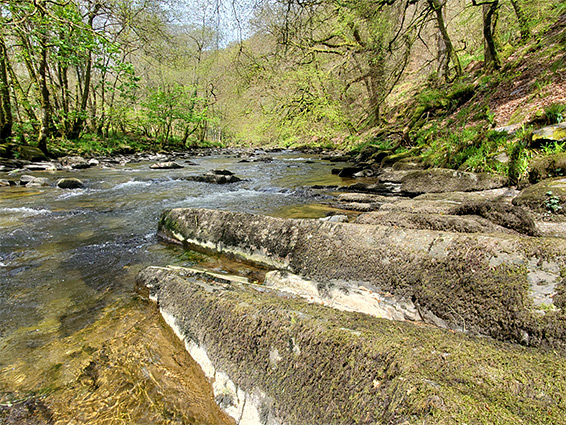 Sandstone strata