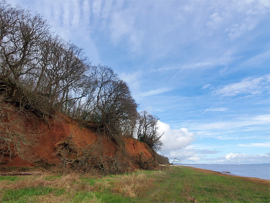 Red earth towards the north end of the cliff